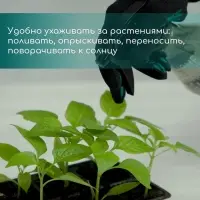 Кассета для выращивания рассады Greengo на 128 ячеек, по 15 мл, пластиковая, чёрная, 54&times;28&times;5 см