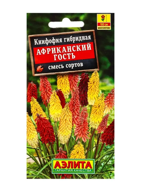Семена цветов Книфофия Африканский гость, смесь сортов Мн, Ц/П,30 шт.