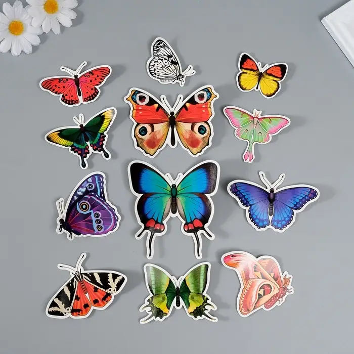 Набор магнитов на холодильник &laquo;Натуральные&raquo;, 12 шт., картон, h=4-10 см