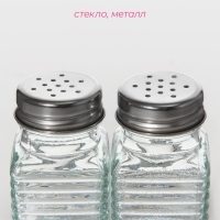 Набор для специй из стекла Доляна &laquo;Кафе&raquo;, 2 предмета: солонка, перечница 100 мл