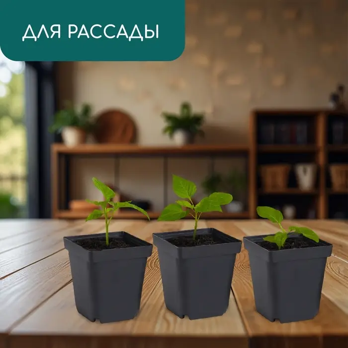 Горшок для рассады, 700 мл, d=10 см, h=12.5 см, пластик, чёрный, Greengo