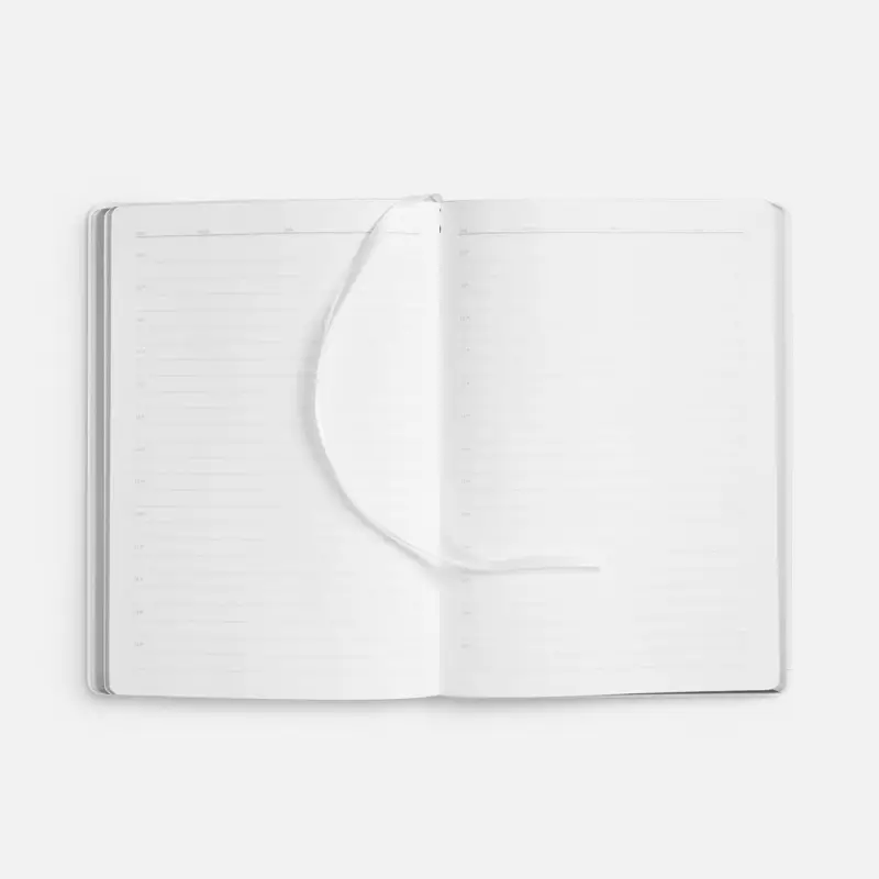 Ежедневник Nebraska Flex, недатированный, белый с серебристым
