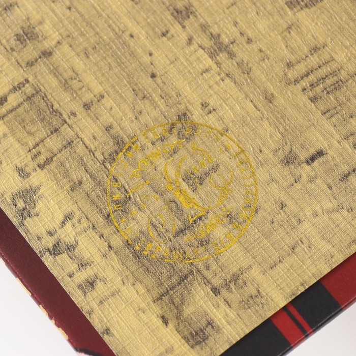 Сейф-книга дерево кожзам "Профиль девушки" 3D тиснение 21х13х5 см