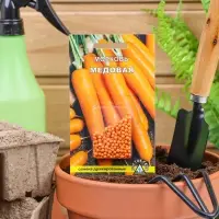 Семена Морковь  "МЕДОВАЯ" простое драже 300 шт