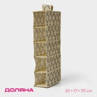 Органайзер подвесной Доляна &laquo;Гэтс&raquo;, 5 отделений, 30&times;15&times;70 см, цвет бежевый