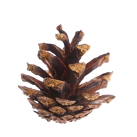 Новогодний декор &laquo;Набор натуральных шишек&raquo; 12 шт.