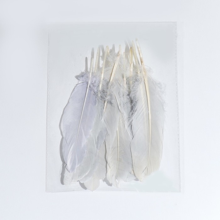 Перья для декора, серебро полная окраска , 13-15 см 10 шт