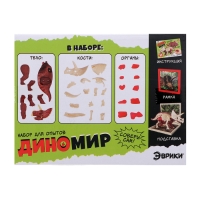 Набор для опытов &laquo;Диномир: Трицератопс&raquo;, строение тела динозавра, 33 детали