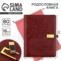 Родословная книга со встроенной флешкой 16 Gb &laquo;Книга всей семьи&raquo;, 17,5 х 23 см.