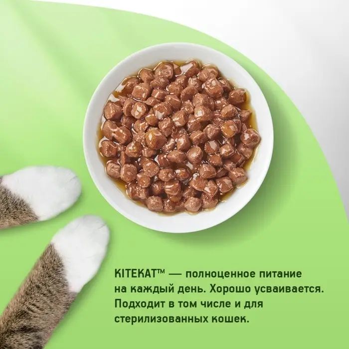 Влажный корм Kitekat для кошек, курица в соусе, пауч 85 г
