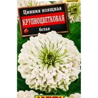 Семена цветов Цинния Крупноцветковая белая , Ц/П,0,3 г