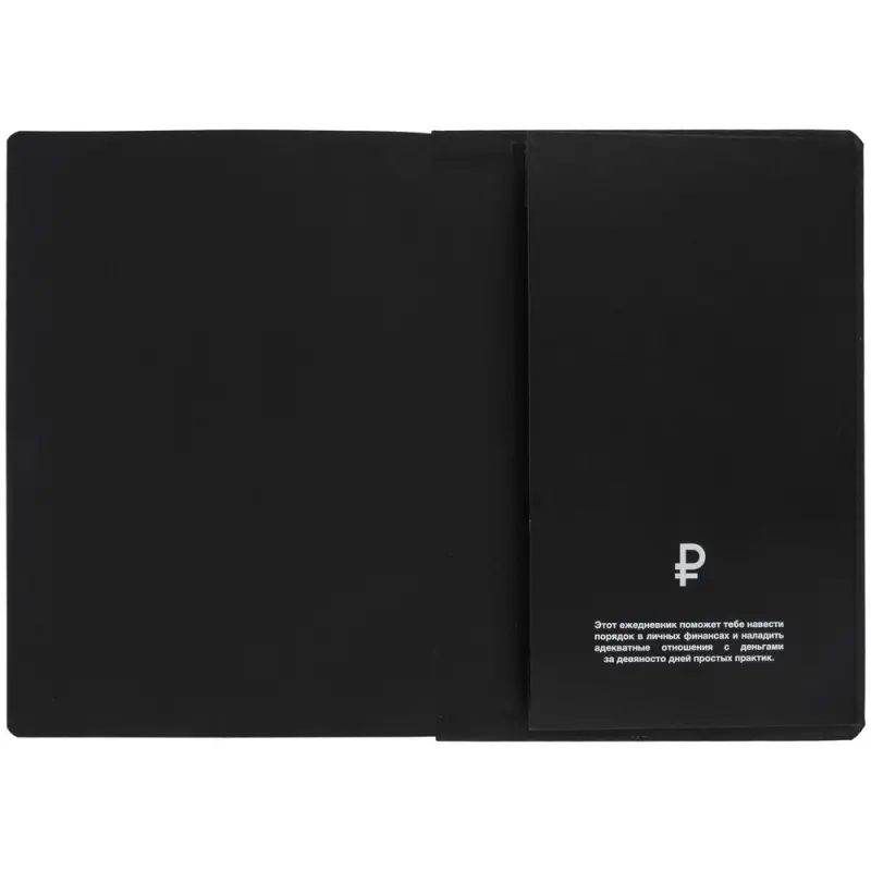 Ежедневник &laquo;Финансовая грамотность&raquo;, недатированный, черный