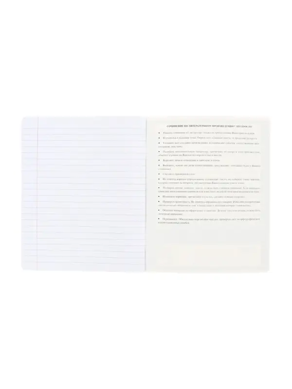 Тетрадь 48 листов в линию &laquo;Буквица&raquo; ЛИТЕРАТУРА, обложка мелованный картон, матовая ламинация, тиснение фольгой, с интерактивным справочником...