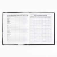 Дневник школьный 5-11 класс, в твердой обложке, 48 л. &laquo;Кошка&raquo;