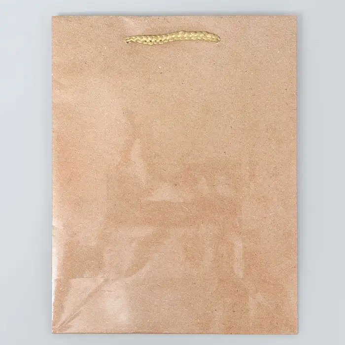 Пакет подарочный ламинированный, упаковка, &laquo;Крафт&raquo;, MS 18 х 23 х 8 см