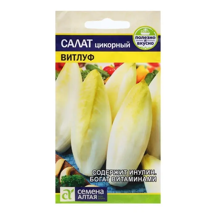 Семена Салат "Цикорий Витлуф", ц/п,  0,5 гр.