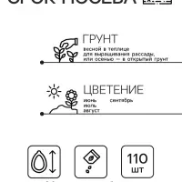 Семена Монарда лимонная "Бегемот", 110 шт