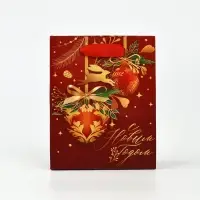 Набор пакетов ламинированных &laquo;Чудесного праздника!&raquo;