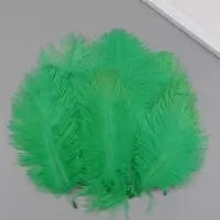 Перо декоративное страуса "Хвоя" h=15-20 см