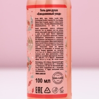 Гель для душа &laquo;Чудес круглый год!&raquo;, 100 мл, аромат ягодный чизкейк, Новый Год