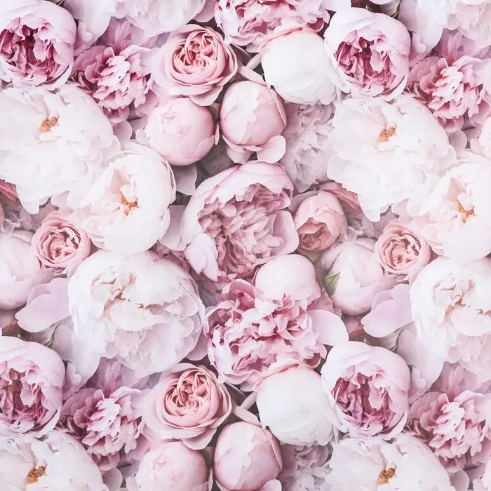 Бумага упаковочная, глянцевая &laquo;Весенний букет пионов&raquo;, 40&times;60 см