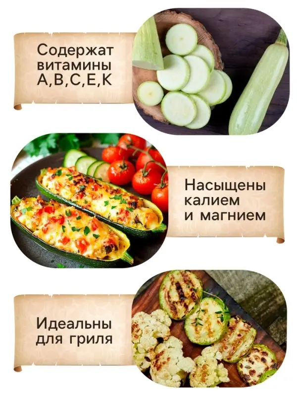 Семена Кабачок белоплодный "Грабовский", 0,5 г