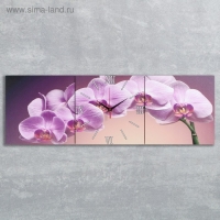 Часы настенные, модульные, серия: Цветы, "Фиолетовые орхидеи", 35х110  см