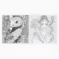 Раскраска антистресс на новый год. Альбом для вдохновения &laquo;Загадай желание&raquo;, 19 страниц, символ года 2025