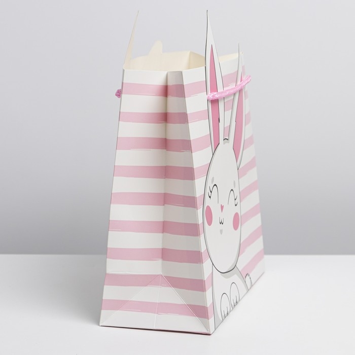 Пакет подарочный, упаковка, &laquo;Best day&raquo;, 25 х 26 х 10 см