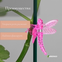 Клипса для растений &laquo;Стрекоза&raquo;, набор 10 шт., МИКС, Greengo