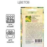 Семена Лантана сводчатая Любава* , ц/п,  0,1 г