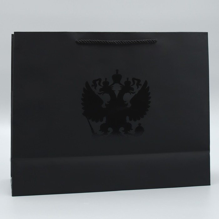 Пакет подарочный, упаковка, &laquo;Россия&raquo;, L 38 х 29 х 13 см