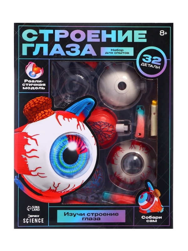 ЭВРИКИ Набор для опытов "Строение глаза", анатомическая модель