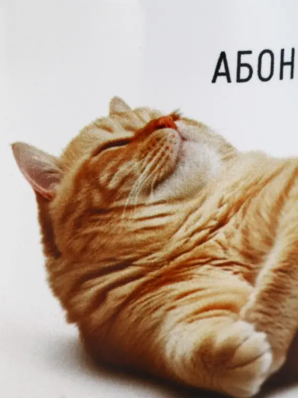 Кружка керамическая &laquo;Абонент отдыхает&raquo;, 320 мл