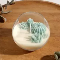 Свеча ароматическая в подсвечнике "Суккуленты" 1 фитиль аромат белый чай 11х11х10 см