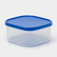 Контейнер квадратный Доляна, пищевой, 700 мл, цвет цвет синий