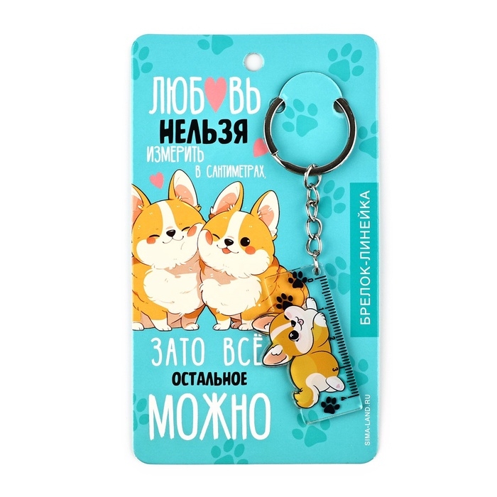 Брелок линейка для ключей &laquo;Любовь нельзя измерить&raquo;, 2.4 х 10 см