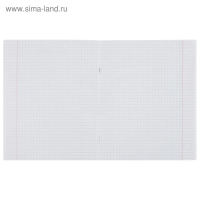 Тетрадь 48 листов в клетку Calligrata "В точку", обложка мелованный картон, блок офсет, МИКС