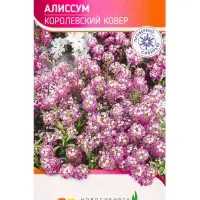 Семена Алиссум Королевский ковер 0,1 г