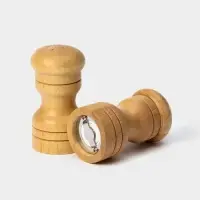 Набор для специй Доляна &laquo;Комфорт&raquo;, 50 мл, 11&times;10&times;5 см, 2 предмета: мельница, солонка