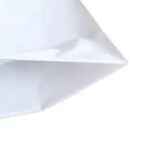 Пакет полиэтиленовый с вырубной ручкой, 64&times;60+8 60 мкм Белый