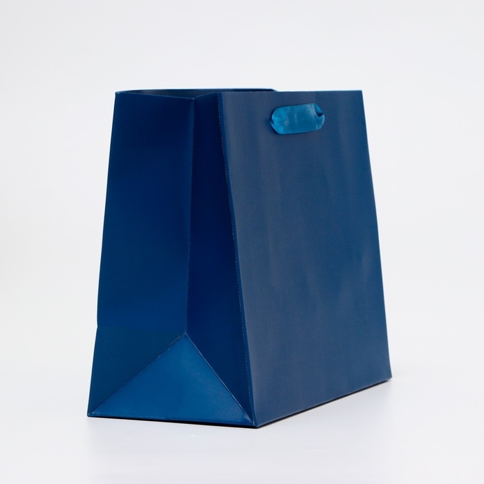 Пакет ламинированный &laquo;Синий&raquo;, MS 23 &times; 18 &times; 10 см