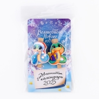 Новогодний магниты-прищепки &laquo;Новый год: Волшебного нового года голография&raquo;, 7 х 12,7 х 1,5 см