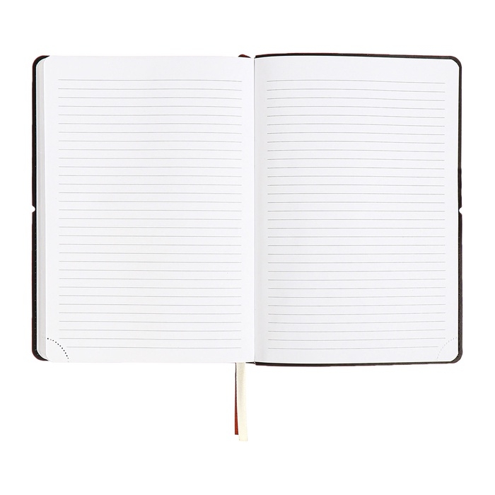 Ежедневник датированный 2025, A5 168 листов, deVENTE. Saltos, мягкая обложка кожзам, перфорация, ляссе, блок 70, коричневый