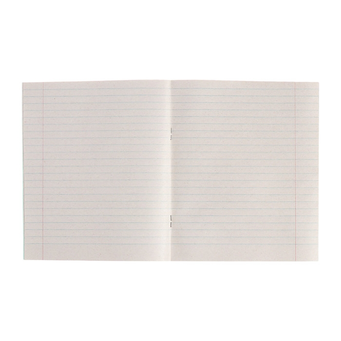 Комплект тетрадей из 10 штук, 18 листов в линию КПК "Зелёная обложка", блок №2, белизна 75% (серые листы)