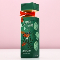 Подарочный набор косметики новогодний &laquo;Сияй круглый год&raquo;, бомбочки для ванны, 3 х 40 г, аромат яблочного пудинга, Новый Год