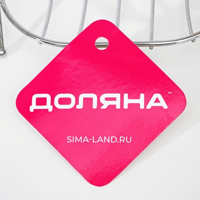 Мыльница на ножках Доляна &laquo;Сибарит&raquo;, 12&times;9,5&times;4 см, цвет хромированный