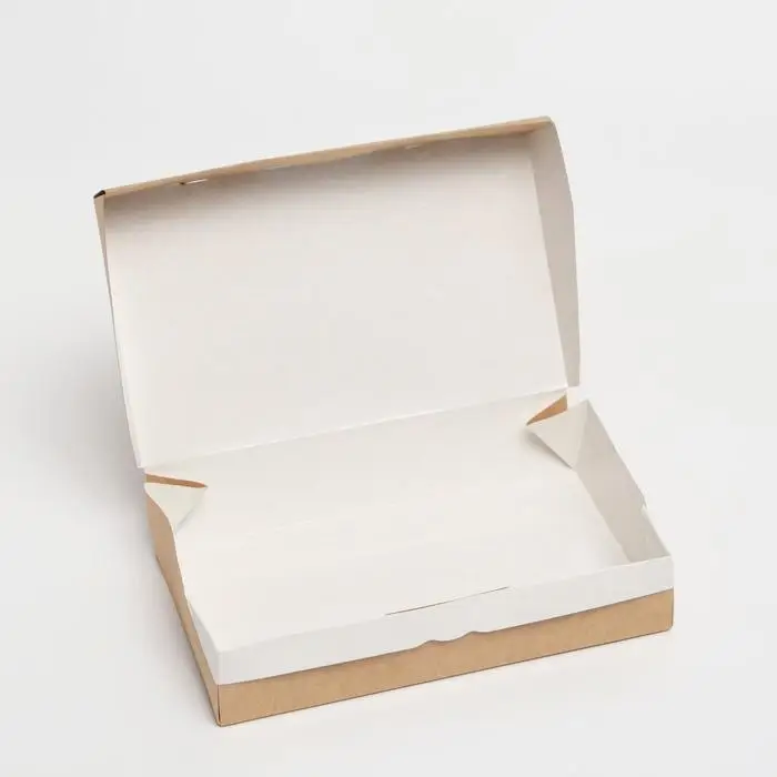 Контейнер на вынос, крафт, без окна, 20 х 12 х 4 см