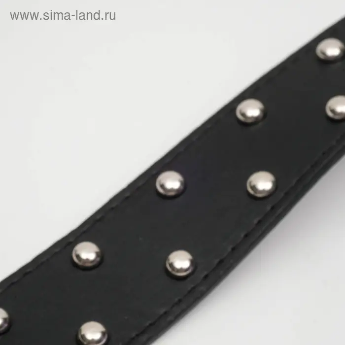 Ошейник клепаный в 2 ряда, 63,5 х 3,8 см, черный