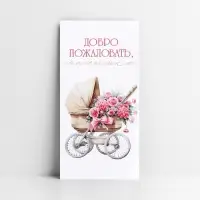 Конверт для денег &laquo;Добро пожаловать, малышка&raquo;, 16.5&times;8 см